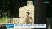 Повече от половината градски чешми в София не работят или са за основен ремонт