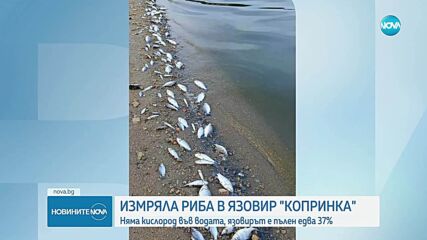 Стотици умрели риби в язовир „Копринка”