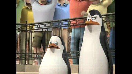 The Penguins of Madagascar - Tangled in the web