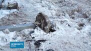 Затвориха за камиони Троянския проход заради обилен снеговалеж