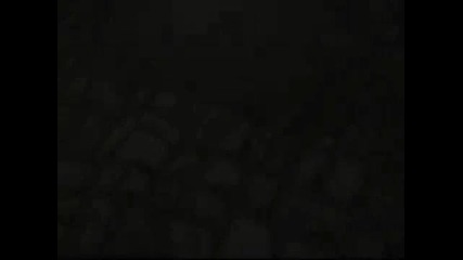 (превод)flyleaf - Penholder