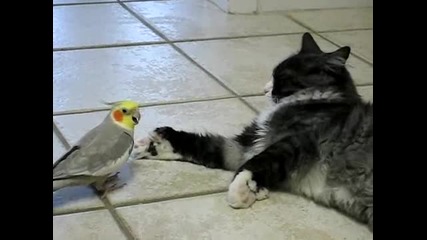 Play with Me!