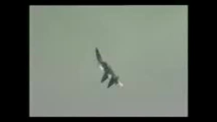 Su - 35 - 37.3gp