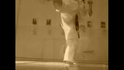 Berseks karate 