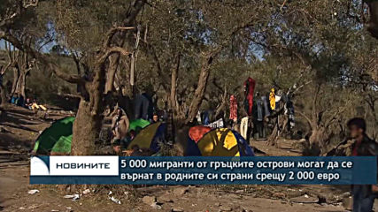 5 000 мигранти от гръцките острови могат да се върнат в родните си страни срещу 2 000 евро