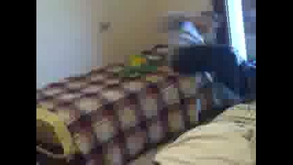 shawn michles tlc