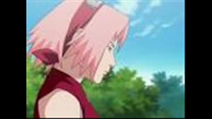 Sakura Life [fic] {3}