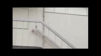 Японски Лудории 