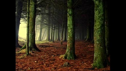 Deep Forest - Sweet Lullaby Natural Trance Mix