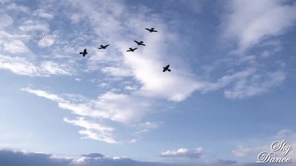 Relaxing Piano Instrumental - Sky Dance