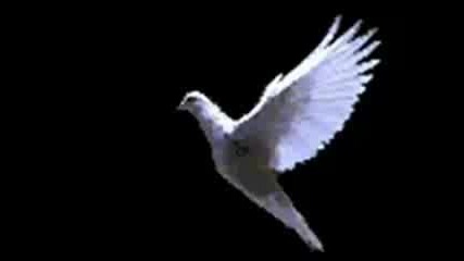 mariah carey - Without You - Bg Превод