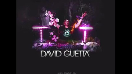 David Guetta - Beach Party *new 2012* House