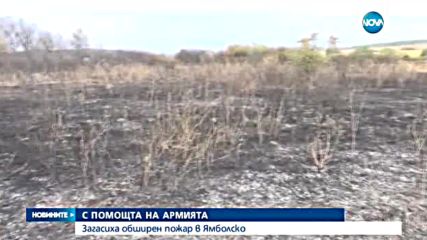 Пожар вилня в Ямболско