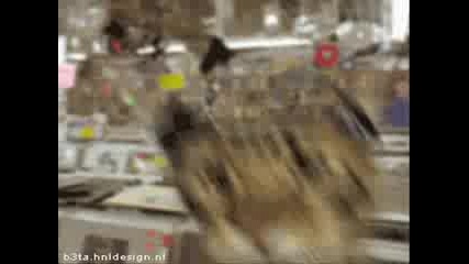 Много Смешни Снимки И Скечове