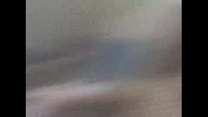 Mov00001 