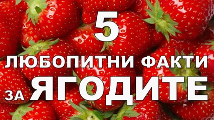 5 любопитни факти за ягодите