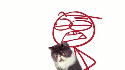 Dick figures - kitty amazing