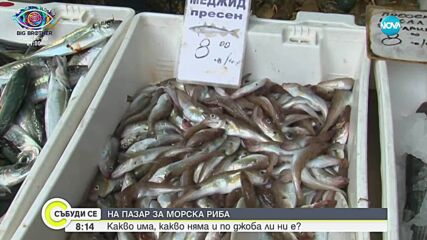 На пазар за морска риба: Какви са причините да няма паламуд?