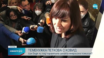 Бившият енергиен министър Теменужка Петкова е в болница с COVID-19