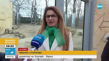 Обявиха конкурс за любима двойка животни в зоопарка във Варна (ВИДЕО)