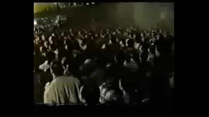Paok Hooligans
