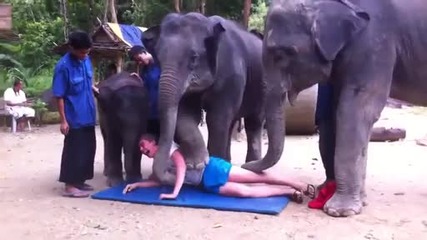 Индийски масаж със слонове