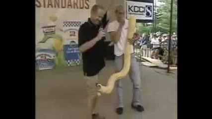 Змия в панталона 