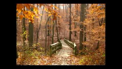Richard Clayderman - Love Story