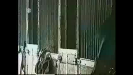 Наи - смешния на света :д:д
