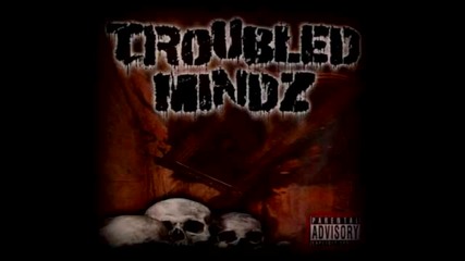 Troubled Mindz feat.wyane Dub - Struggle 