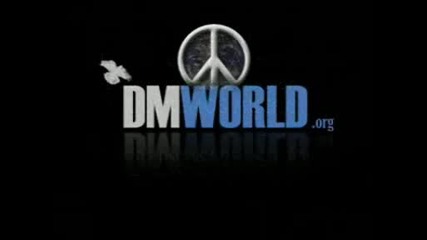 Дулсе поздравява Dm Word