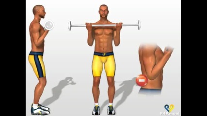 Standing Barbell Curl - Killer Home Arm Workout 