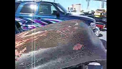 Sema 2008