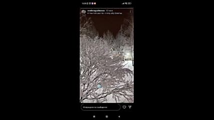 Истинска зимна приказка: Светлана Гущерова показа райската градина