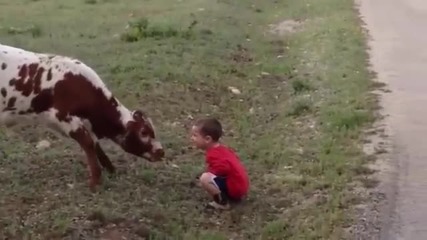 Малко детенце срещу малък бик