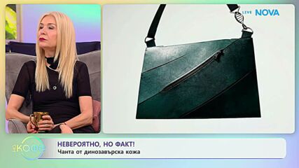 Чанта от динозавърска кожа | На кафе | 7 апр. 2026