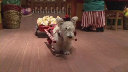 Santa Paws Stowaways H D 