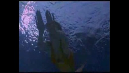 The Best Of H2o