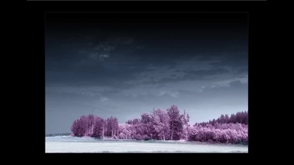 Alex M.O.R.P.H. - Purple Audio (Andy Duguid Remix)
