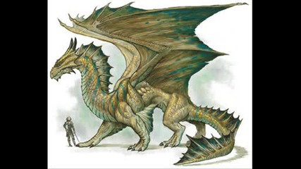 dragon