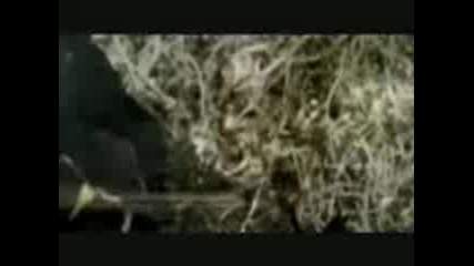 T.i. Ft. Justin Timberlake - Dead and Gone