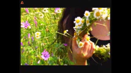 Силвия - Отиде си
