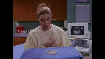 The Best Moments Of Phoebe