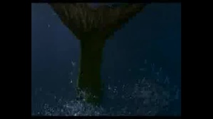 H2o Just Add Water Opening - Friends Style