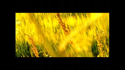 Dj Project - Miracle Love 