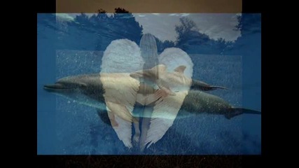 И аз те обичам New 2009 dj - tiesto - 27 