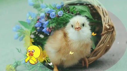 Природа и настроение ... ...