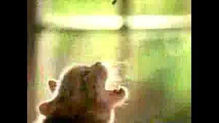 nai - qkata tupalka 