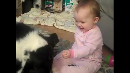 Бебе и куче забавни моменти