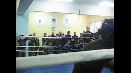 Boxing 6endo0 Vs Daniii